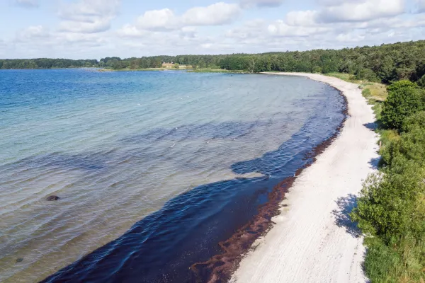 Västra Torsö strand