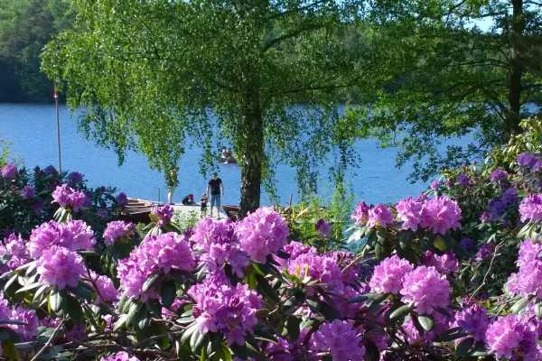 Långasjön's leisure area