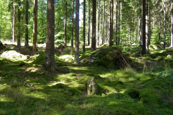 Långasjön's leisure area