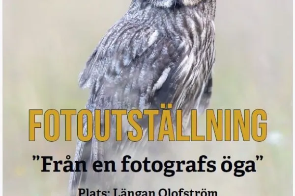 Olofströms Fotoklubb