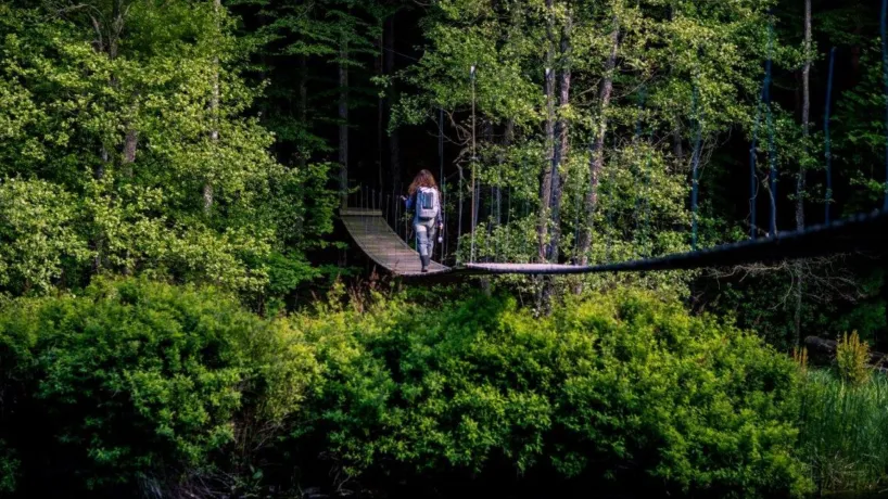 Mörrums Kronolaxfiske i Blekinge