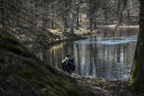 Mörrumsån, Karlshamn #ark56