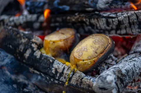 Outdoor cooking äggröra