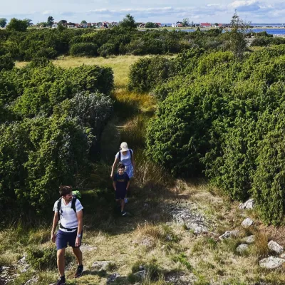 Välmarkerade vandringsleder i Blekinge.