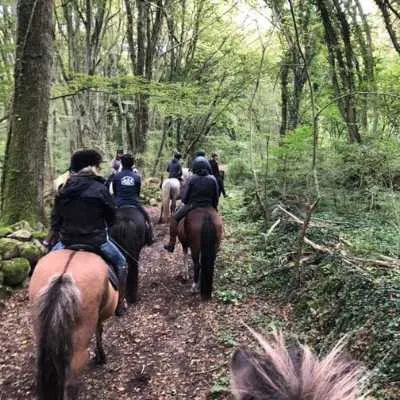 Riding weekend in Sweden