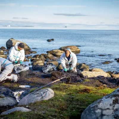 Oljeutsläppet längs Blekinges kust