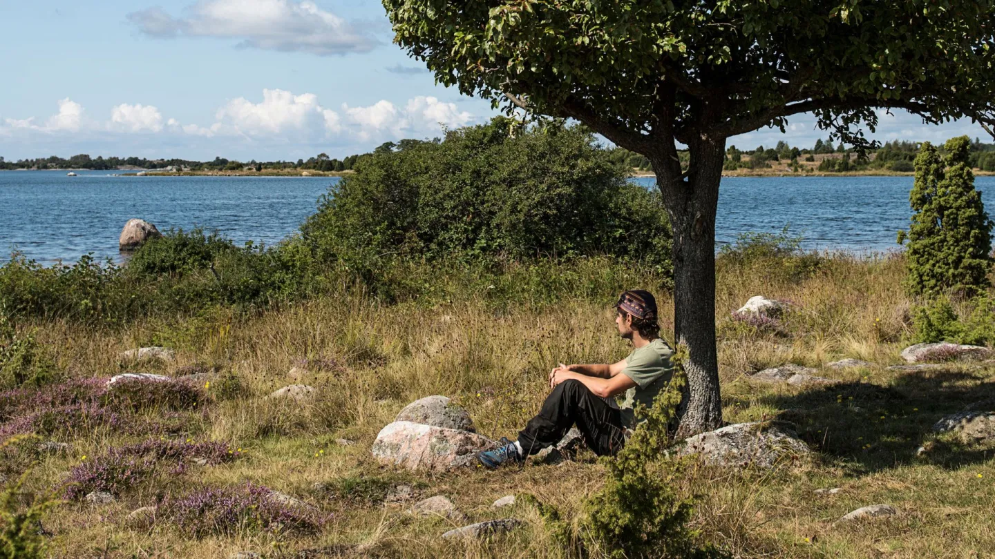 ARK56 Sammankopplade leder - Paus mot ett träd vid havet