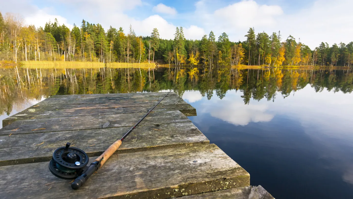 fiskespö på brygga